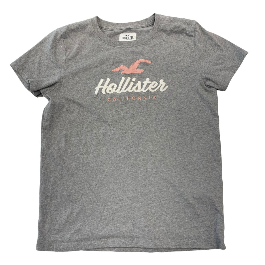 Hollister windsor online